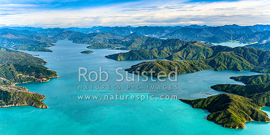 Queen Charlotte Sound, looking towards Grove Arm, past Allports Island. Dieffenbach Point left, Ruakawa Bay and Kenepuru Sound at right. Aerial panorama, Marlborough Sounds, Marlborough District, Marlborough Region, New Zealand (NZ)