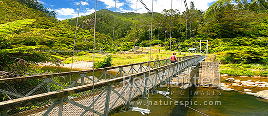 Historic Karangahake Goldfields ruins and walking tracks, with visitors crossing the Ohinemuri lower Waitawheta Gorge bridge. Panorama, Karangahake, Hauraki District, Waikato Region, New Zealand (NZ)