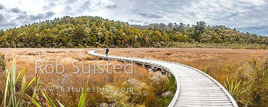 Okarito Wetland Walk, boardwalk winding through wetland towards the Okarito Trig Walk and Three Mile Lagoon Pack Track. Panorama, Westland / Tai Poutini National Park, Westland District, West Coast Region, New Zealand (NZ)