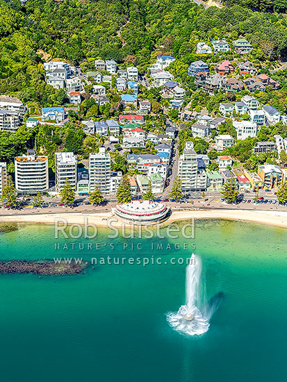 Oriental Bay and Roseneath suburbs under Mt Victoria. Sunny day with Carter Fountain playing by the Band Rotunda. Aerial view, Wellington, Wellington City District, Wellington Region, New Zealand (NZ)