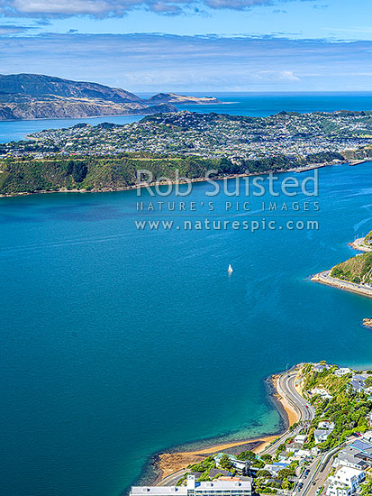 Evans Bay and Miramar Peninsula, with Wellington harbour entrance and Pencarrow and Baring Heads behind. Aerial view, Wellington, Wellington City District, Wellington Region, New Zealand (NZ)