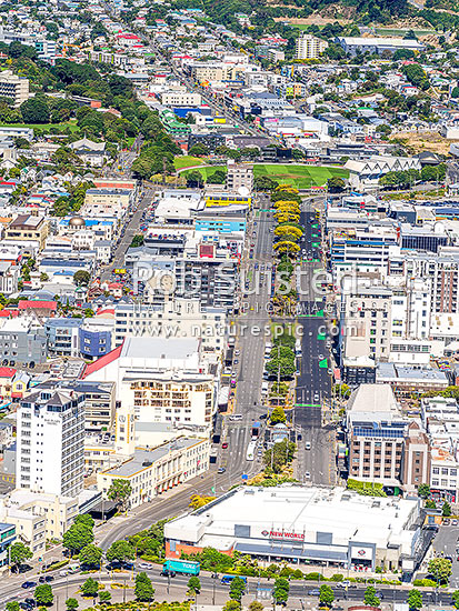 Wellington City looking up Kent and Cambridge Terraces towards the Basin Reserve and Newtown beyond, from Chaffers New World Building. Aerial view over city, Wellington, Wellington City District, Wellington Region, New Zealand (NZ)