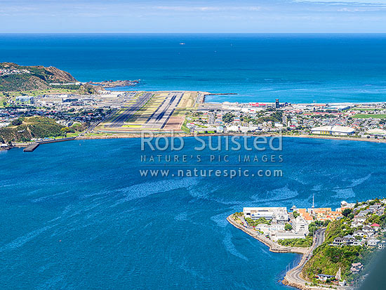 Wellington International Airport, with Evans Bay below, and Lyall Bay and Moa Point beyond. Aerial view coming into land, Wellington, Wellington City District, Wellington Region, New Zealand (NZ)