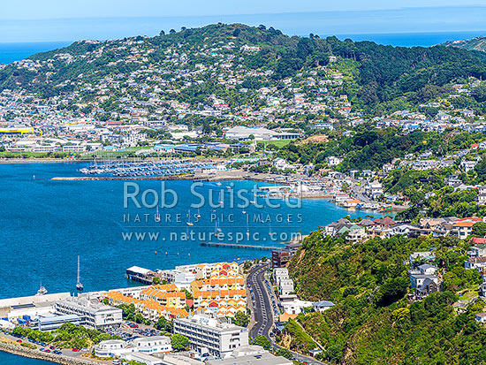 Evans Bay, with Niwa, Hataitai Beach and suburb (left) with Kilbirnie and Melrose beyond. Aerial view, Wellington, Wellington City District, Wellington Region, New Zealand (NZ)