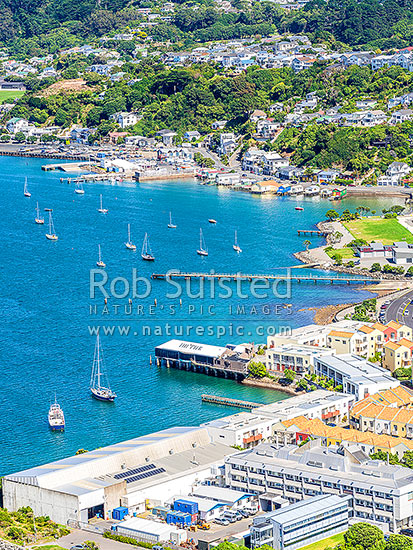 Evans Bay, with Niwa foreground with Hataitai Beach and Hataitai suburb beyond. Aerial view, Wellington, Wellington City District, Wellington Region, New Zealand (NZ)