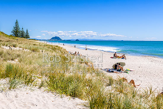 Papamoa Beach on a summer day with people enjoying the summer sunshine. Looking west towards Mt Maunganui Mauao (231m), Papamoa Beach, Tauranga District, Bay of Plenty Region, New Zealand (NZ)