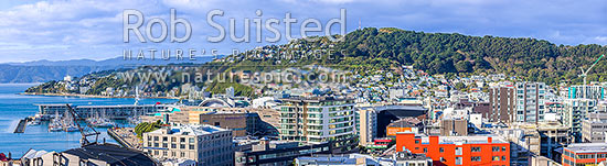 Wellington City CBD panorama, looking over Te Aro towards Clyde Quay Wharf, harbour, Te Papa Museum, Oriental Bay, Roseneath and Mount Victoria above, Wellington, Wellington City District, Wellington Region, New Zealand (NZ)