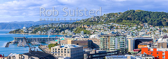 Wellington City CBD panorama, looking over Te Aro towards Clyde Quay Wharf, harbour, Te Papa Museum, Oriental Bay, Roseneath and Mount Victoria above, Wellington, Wellington City District, Wellington Region, New Zealand (NZ)