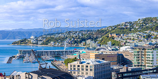 Wellington City CBD panorama, looking over Te Aro towards Clyde Quay Wharf, harbour, Te Papa Museum, Oriental Bay, and Roseneath. Remutaka Range beyond, Wellington, Wellington City District, Wellington Region, New Zealand (NZ)