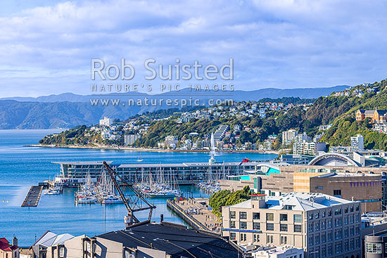 Wellington City CBD, looking over Te Aro towards Clyde Quay Wharf, harbour, Te Papa Museum, Oriental Bay, and Roseneath. Remutaka Range beyond, Wellington, Wellington City District, Wellington Region, New Zealand (NZ)