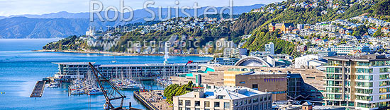 Wellington City CBD panorama, looking over Te Aro towards Clyde Quay Wharf, harbour, Te Papa Museum, Oriental Bay, and Roseneath. Remutaka Range beyond, Wellington, Wellington City District, Wellington Region, New Zealand (NZ)