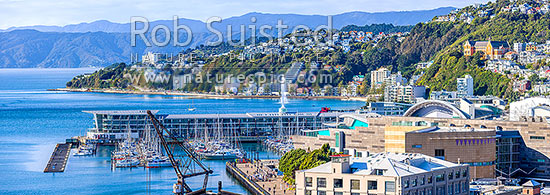 Wellington City CBD panorama, looking over Te Aro towards Clyde Quay Wharf, harbour, Te Papa Museum, Oriental Bay, and Roseneath. Remutaka Range beyond, Wellington, Wellington City District, Wellington Region, New Zealand (NZ)