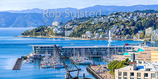 Wellington City CBD panorama, looking over Te Aro towards Wellington Waterfront, Clyde Quay Wharf and marina, harbour, Te Papa Museum, and Oriental Bay. Remutaka Range beyond, Wellington, Wellington City District, Wellington Region, New Zealand (NZ)