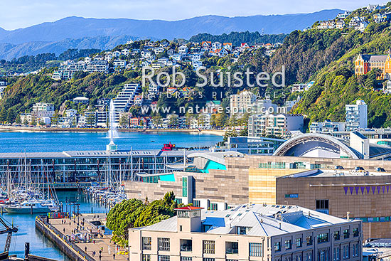 Wellington City waterfront, looking over Te Aro towards Te Papa Museum, Clyde Quay Wharf, Oriental Bay, and Roseneath. Remutaka Range beyond, Wellington, Wellington City District, Wellington Region, New Zealand (NZ)