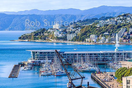 Wellington City waterfront, looking Clyde Quay Wharf and Harbour towards, Oriental Bay, and Roseneath. Remutaka Range beyond, Wellington, Wellington City District, Wellington Region, New Zealand (NZ)