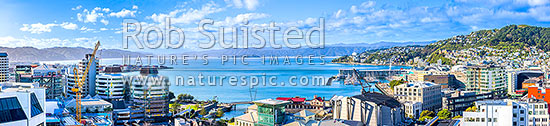 Wellington Harbour and City panorama looking over the CBD, waterfront and lagoon. Oriental bay and Mt Victoria right. Hutt Valley and Remutaka Range beyond, Wellington, Wellington City District, Wellington Region, New Zealand (NZ)