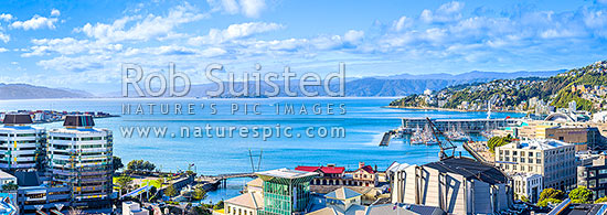 Wellington Harbour and City panorama looking over the CBD, waterfront and lagoon. Oriental bay and Mt Victoria right. Hutt Valley and Remutaka Range beyond, Wellington, Wellington City District, Wellington Region, New Zealand (NZ)