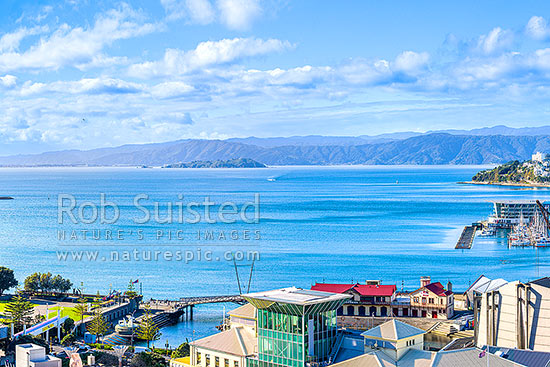 Wellington Harbour and City view looking over the CBD, waterfront and lagoon. Oriental Bay at right. Hutt Valley, Matiu Somes Is and Remutaka Range beyond, Wellington, Wellington City District, Wellington Region, New Zealand (NZ)