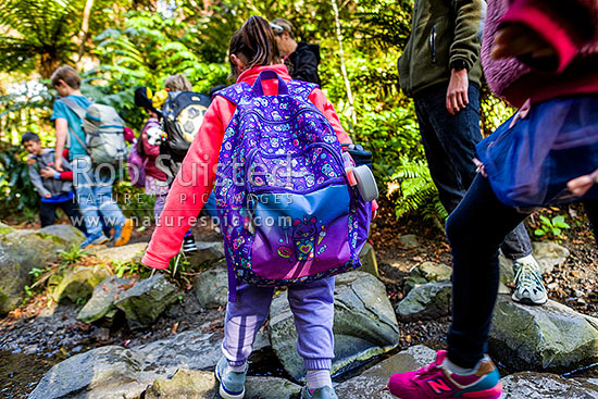 School children on class trip and native forest bush walk, crossing a freshwater stream with school bags on. Education and learning outside the classroom, Wellington, Wellington City District, Wellington Region, New Zealand (NZ)