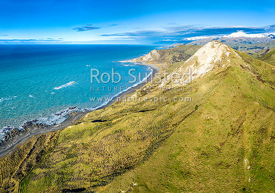 Ward Beach, looking south past Weld Cone peak (368m), along Te Tai-o-Marokura beach towards The Needles Point to snowy Seaward Kaikoura Range beyond. Aerial view, Ward, Marlborough District, Marlborough Region, New Zealand (NZ)