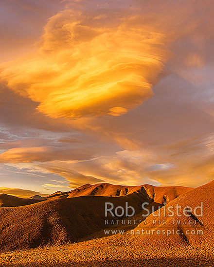 Lenticular clouds gathering in evening sunset over Lindis Pass and the Dunstan Range, signalling coming bad weather and winds. Panorama, Lindis Pass, MacKenzie District, Canterbury Region, New Zealand (NZ)