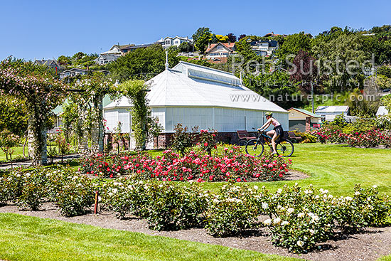 Oamaru Display House, an historic greenhouse opened in the Oamaru Public Gardens 1929, designed by Ivan Steenson, Oamaru, Waitaki District, Canterbury Region, New Zealand (NZ)