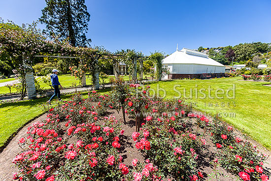 Oamaru Display House, an historic greenhouse opened in the Oamaru Public Gardens 1929, designed by Ivan Steenson, Oamaru, Waitaki District, Canterbury Region, New Zealand (NZ)