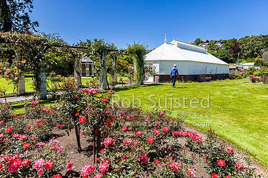 Oamaru Display House, an historic greenhouse opened in the Oamaru Public Gardens 1929, designed by Ivan Steenson, Oamaru, Waitaki District, Canterbury Region, New Zealand (NZ)