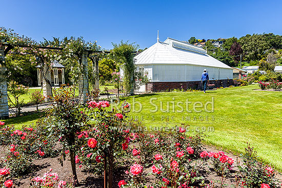 Oamaru Display House, an historic greenhouse opened in the Oamaru Public Gardens 1929, designed by Ivan Steenson, Oamaru, Waitaki District, Canterbury Region, New Zealand (NZ)