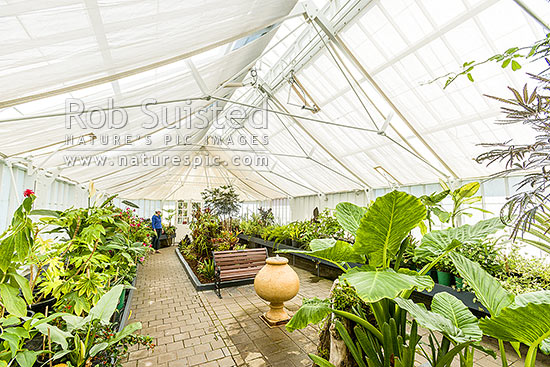 Oamaru Display House, an historic greenhouse opened in the Oamaru Public Gardens 1929, designed by Ivan Steenson, Oamaru, Waitaki District, Canterbury Region, New Zealand (NZ)