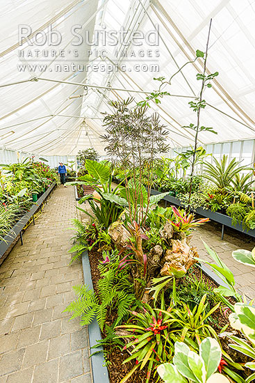 Oamaru Display House, an historic greenhouse opened in the Oamaru Public Gardens 1929, designed by Ivan Steenson, Oamaru, Waitaki District, Canterbury Region, New Zealand (NZ)