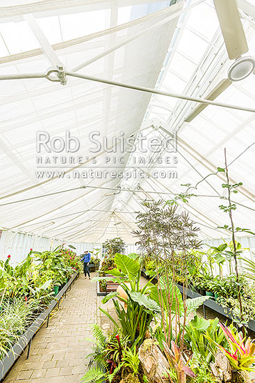 Oamaru Display House, an historic greenhouse opened in the Oamaru Public Gardens 1929, designed by Ivan Steenson, Oamaru, Waitaki District, Canterbury Region, New Zealand (NZ)