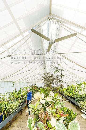 Oamaru Display House, an historic greenhouse opened in the Oamaru Public Gardens 1929, designed by Ivan Steenson, Oamaru, Waitaki District, Canterbury Region, New Zealand (NZ)