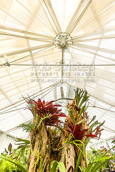 Oamaru Display House, an historic greenhouse opened in the Oamaru Public Gardens 1929, designed by Ivan Steenson, Oamaru, Waitaki District, Canterbury Region, New Zealand (NZ)