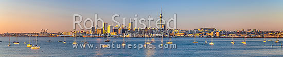 Auckland City Skyline, CBD, and moored sailboats, seen from across the Waitemata Harbour on a calm morning. Panorama as golden sun lights the city at dawn. Similar 53156, Auckland, Auckland City District, Auckland Region, New Zealand (NZ)