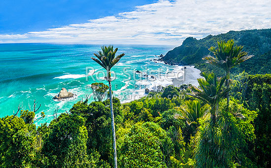 Paparoa National Park coastline. Irimahuwheri Bay coast clad in lush rainforest and Nikau palms. Gentle Annie Rocks on point. Punakaiki Coast, Paparoa National Park, Buller District, West Coast Region, New Zealand (NZ)