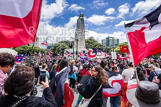 Hikoi mo te Tiriti March protesting against the Treaty Principles Bill in Wellington 19 November 2024, approaching Parliament at the Cenotaph, Wellington, Wellington City District, Wellington Region, New Zealand (NZ)