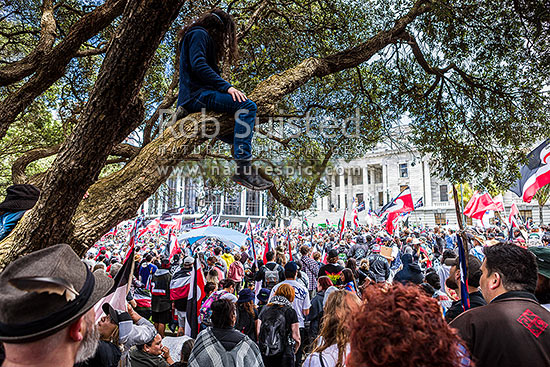 Hikoi mo te Tiriti March protesting against the Treaty Principles Bill in Wellington 19 November 2024, at Parliament listening to speeches, Wellington, Wellington City District, Wellington Region, New Zealand (NZ)