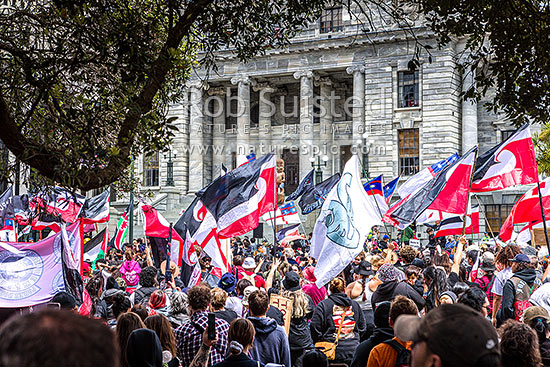 Hikoi mo te Tiriti March protesting against the Treaty Principles Bill in Wellington 19 November 2024, at Parliament listening to speeches, Wellington, Wellington City District, Wellington Region, New Zealand (NZ)