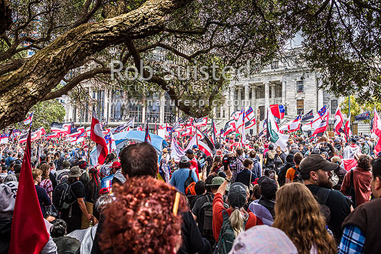 Hikoi mo te Tiriti March protesting against the Treaty Principles Bill in Wellington 19 November 2024, at Parliament listening to speeches, Wellington, Wellington City District, Wellington Region, New Zealand (NZ)