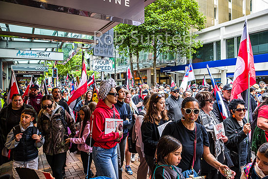 Hikoi mo te Tiriti March protesting against the Treaty Principles Bill in Wellington 19 November 2024, on Willis Street heading to Parliament, Wellington, Wellington City District, Wellington Region, New Zealand (NZ)