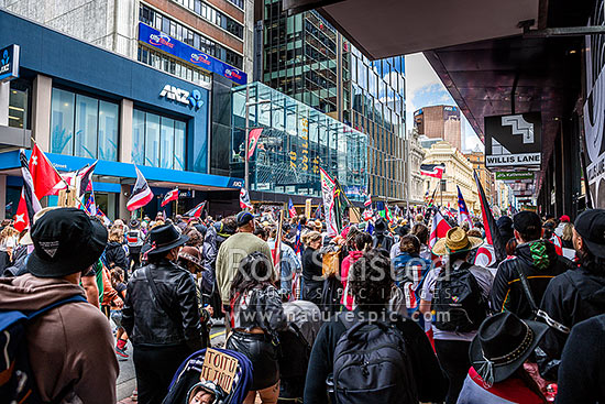 Hikoi mo te Tiriti March protesting against the Treaty Principles Bill in Wellington 19 November 2024, on Willis Street heading to Parliament, Wellington, Wellington City District, Wellington Region, New Zealand (NZ)