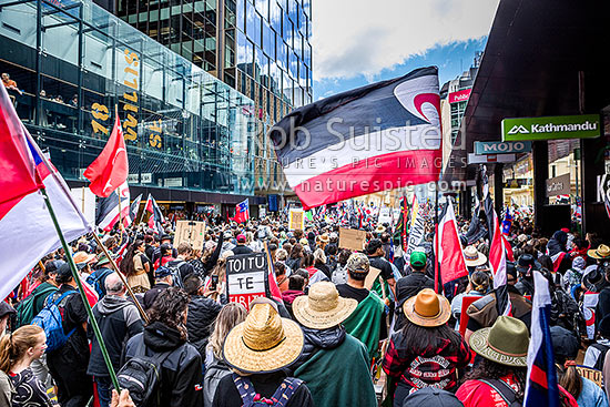 Hikoi mo te Tiriti March protesting against the Treaty Principles Bill in Wellington 19 November 2024, on Willis Street heading to Parliament, Wellington, Wellington City District, Wellington Region, New Zealand (NZ)