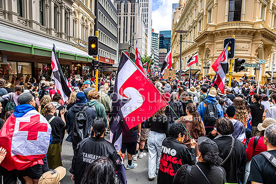 Hikoi mo te Tiriti March protesting against the Treaty Principles Bill in Wellington 19 November 2024, on Willis Street entering Lambton Quay heading to Parliament, Wellington, Wellington City District, Wellington Region, New Zealand (NZ)