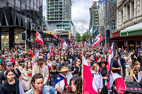 Hikoi mo te Tiriti March protesting against the Treaty Principles Bill in Wellington 19 November 2024, on Willis Street entering Lambton Quay heading to Parliament, Wellington, Wellington City District, Wellington Region, New Zealand (NZ)