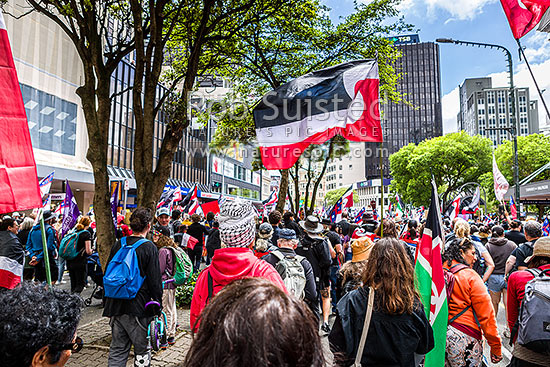 Hikoi mo te Tiriti March protesting against the Treaty Principles Bill in Wellington 19 November 2024, on Lambton Quay heading to Parliament, Wellington, Wellington City District, Wellington Region, New Zealand (NZ)