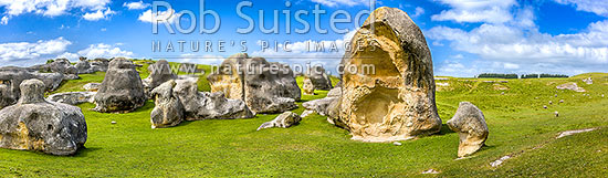 Elephant Rocks limestone site in the Waitaki Whitestone Geopark, Maerewhenua. Panorama of the uplifted weathered marine limestone, Duntroon, Waitaki District, Canterbury Region, New Zealand (NZ)