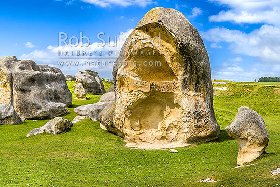 Elephant Rocks limestone site in the Waitaki Whitestone Geopark, Maerewhenua. Panorama of the uplifted weathered marine limestone, Duntroon, Waitaki District, Canterbury Region, New Zealand (NZ)