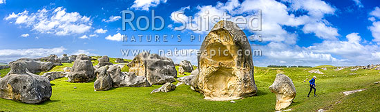 Elephant Rocks limestone site in the Waitaki Whitestone Geopark, Maerewhenua. Panorama of the uplifted weathered marine limestone, Duntroon, Waitaki District, Canterbury Region, New Zealand (NZ)