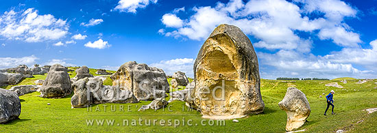 Elephant Rocks limestone site in the Waitaki Whitestone Geopark, Maerewhenua. Panorama of the uplifted weathered marine limestone, Duntroon, Waitaki District, Canterbury Region, New Zealand (NZ)